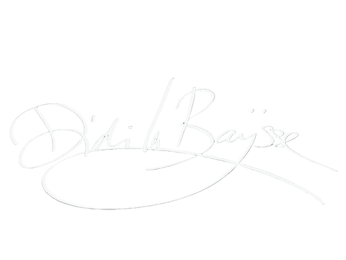 Didi La Baÿsse – Artist & Designer logo